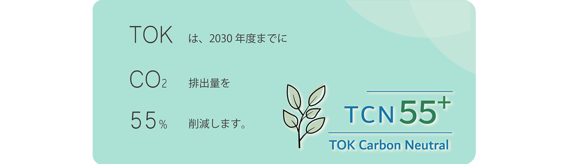 TOK Carbon Neutral