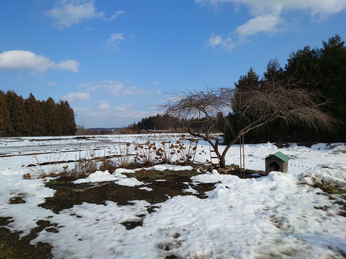 TOKブログ