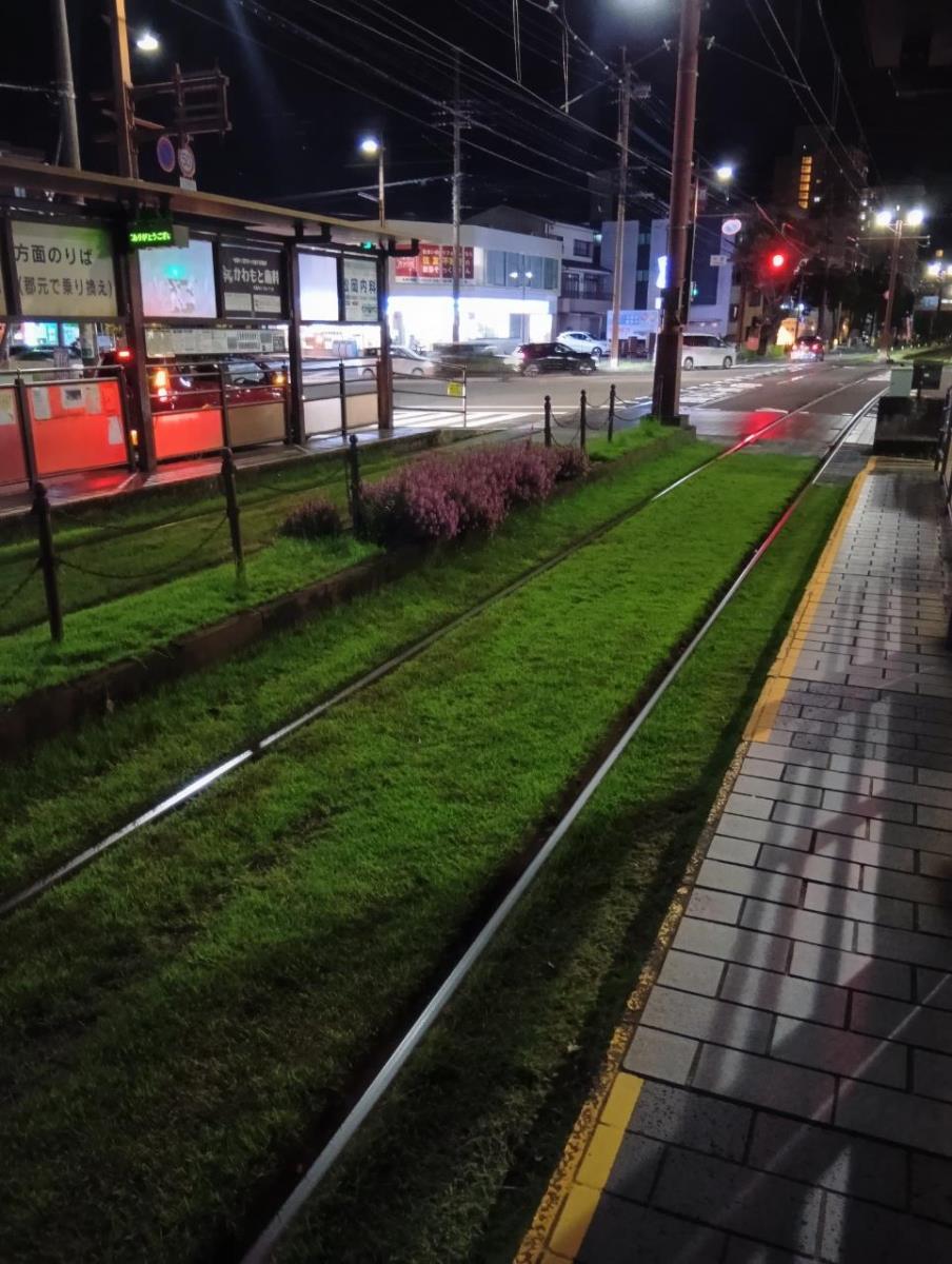 トップブログ