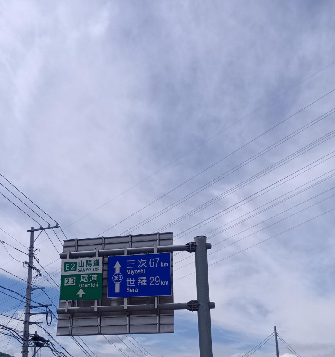 トップブログ